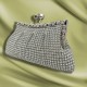 Luxury Rhinestone Dinner Clutch(Silver)