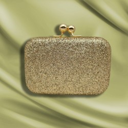 Shiny Box Evening Bag